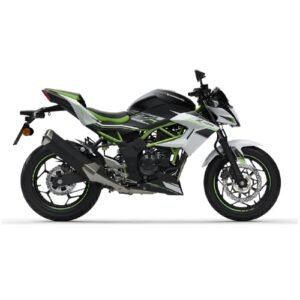 Kawasaki Z125 2019  500x500px